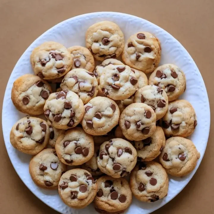 top-down view of large white plate filled with mini chocolate chip cookies.