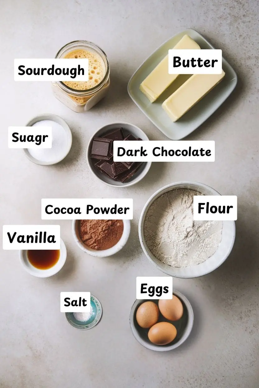 Ingredients for sourdough brownies, including sourdough starter, butter, sugar, dark chocolate, flour, cocoa powder, vanilla, eggs, and salt, arranged on a marbled surface.