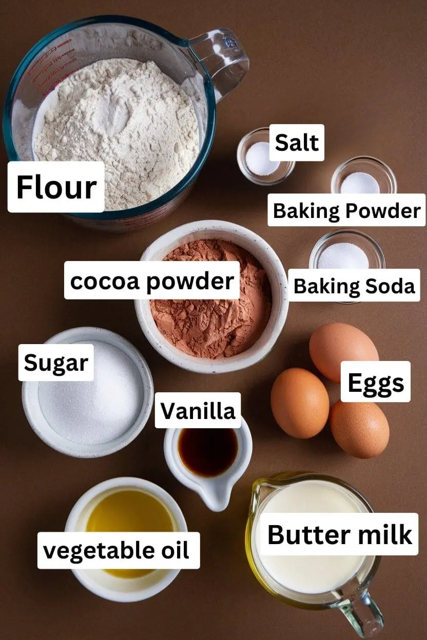 Ingredients of the cake layers on a brown surface including flour, salt, baking powder, baking soda, cocoa powder, three eggs, vanilla, granulated sugar, vegetable oil, and buttermilk.